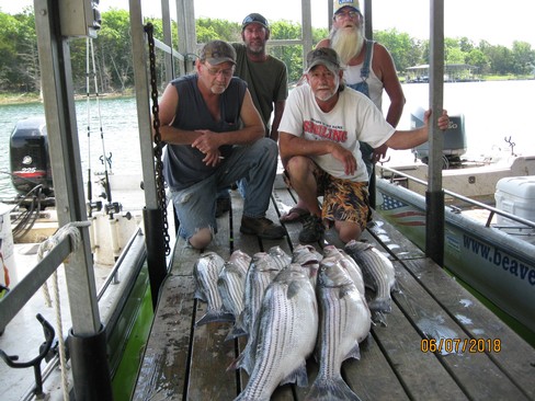 Nice Striped Bass